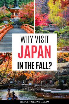 Visiting Japan in October: The Best of Autumn in Japan | Visit japan, Autumn in japan, Japan tourist