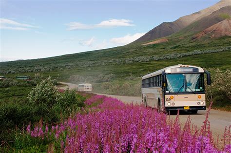 Denali Natural History Tour & Sightseeing - Princess Alaska Tours