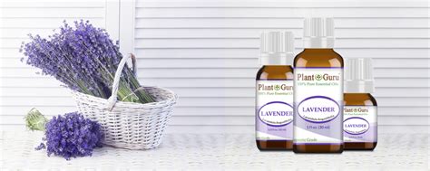 Pure Essential Oils - Healthcare Blog Article By Plant Guru