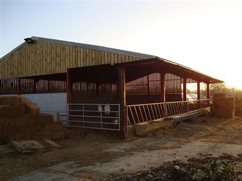 40ft Cattle building with canopy complete. | Agricultural buildings ...