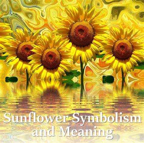 Sunflower Symbolism and Meaning - HubPages