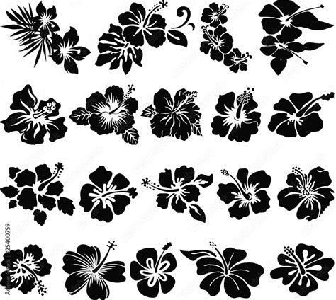 Hibiscus flower silhouettes Stock Vector | Adobe Stock