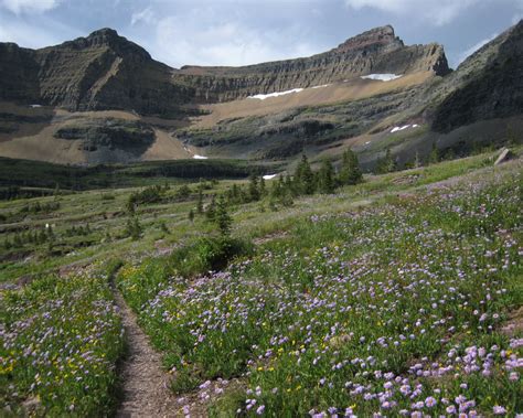 Lincoln County, Montana - Communities