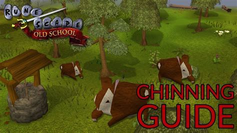 OSRS - CHINNING GUIDE, A MUCH MORE IN-DEPTH GUIDE 2018 - YouTube