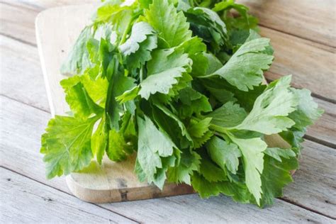 What to Do With Your Celery Leaves » Don't Toss Them