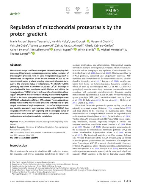 (PDF) Regulation of mitochondrial proteostasis by the proton gradient