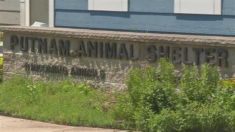 Putnam County animal shelter hosts 'No Flea Market'