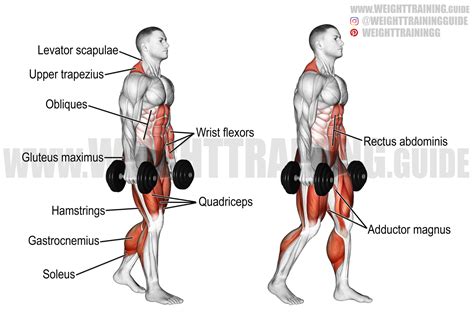 Dumbbell farmer's walk instructions and video | WeightTraining.guide in ...