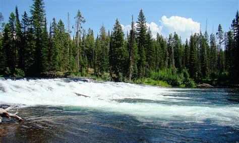 Fall River Idaho Fly Fishing, Camping, Boating - AllTrips