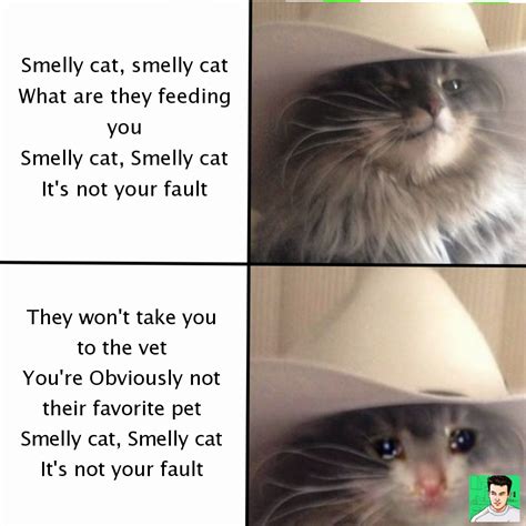 Smelly cat, smelly cat What are they feeding you Smelly cat, Smelly cat ...