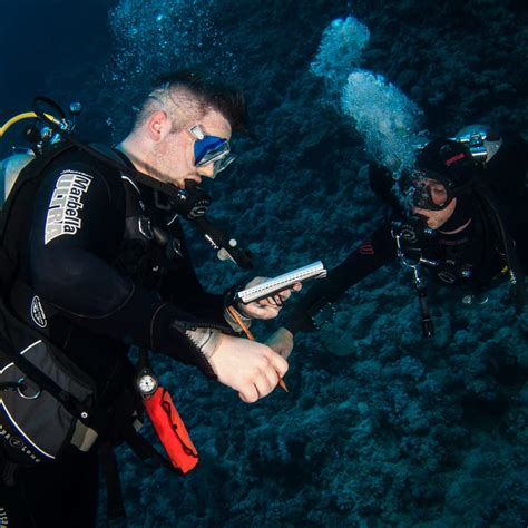 5 Ways to Become a Better Scuba Diver - Diving Life