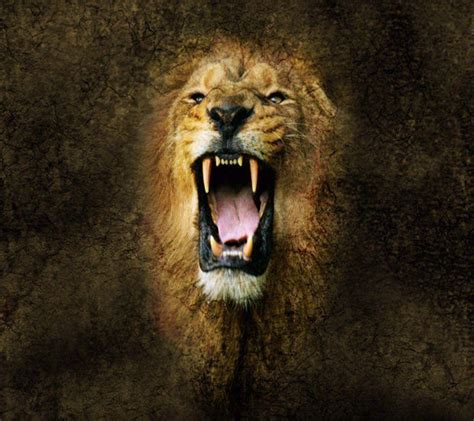 Roaring Lion Wallpapers - Top Free Roaring Lion Backgrounds ...