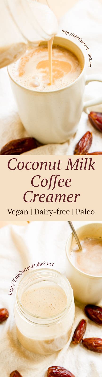 Coconut Milk Coffee Creamer - Life Currents