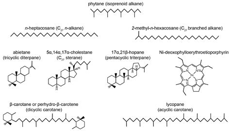 Chemical Structure Of Oil - Printable Templates Free