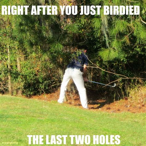 My life... #GolfProblems #Humor #Golf #Funny #Jokes #Meme #Golfing #PGATour #Life | Golf humor ...