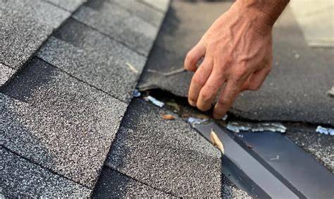 Asphalt Shingle Care: 7 Tips For Roof Longevity