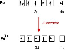 Iron Orbital Diagram