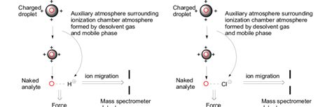 Schematic diagram of ion migrate and transport mechanism[18] The... | Download Scientific Diagram