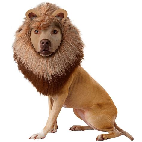 Lion Mane Dog Costume - The Green Head