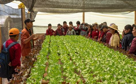 5,359 People Visited the Center for Ecological Agriculture in 2019 ...