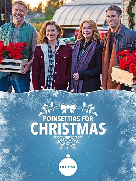 // Poinsettias for Christmas (2018) with Bethany Joy Lenz, Marcus ...