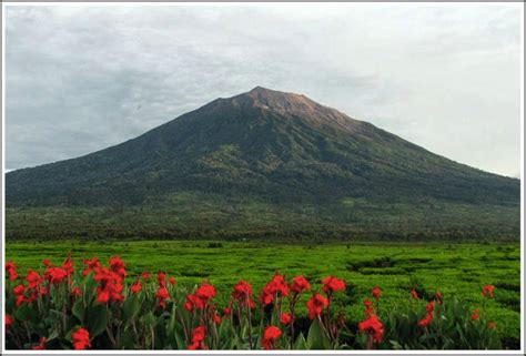 Kerinci Seblat National Park: Last Refuge of the Sumatran Tiger - Discover Your Indonesia