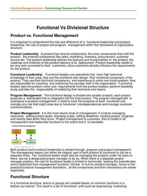 Functional vs Divisional Structure | Leadership | Leadership & Mentoring