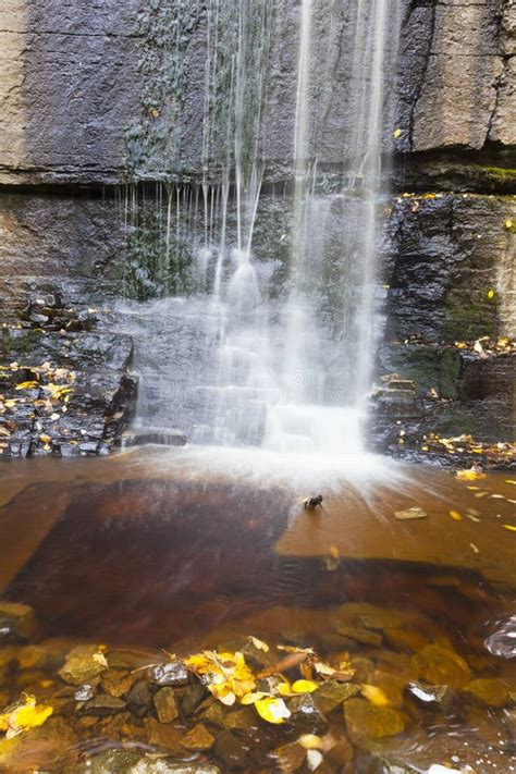 Waterfall with Autumn Leaves Stock Photo - Image of cliff, blurred: 20988080