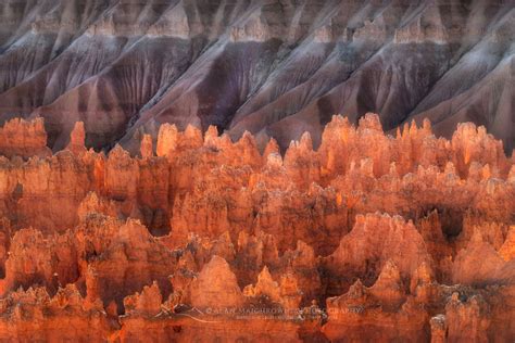 Sunrise Point Bryce Canyon National Park - Alan Majchrowicz Photography