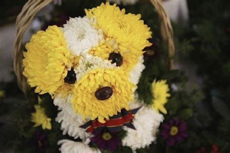 17 Beautiful Flower Arrangements For Dog Lovers