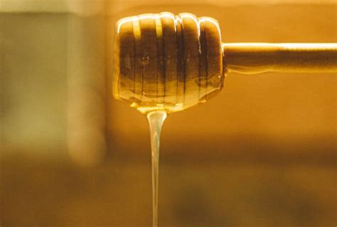 What Is Acacia Honey? - Beekeeping 101