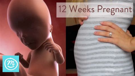 12 Weeks Pregnant: What You Need To Know - Channel Mum - YouTube