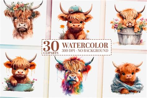 30 Watercolor Highland Cow Clipart - Design Cuts