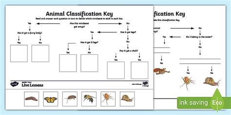 FREE! - Animal Classification Keys KS2 - Primary Resources - Twinkl