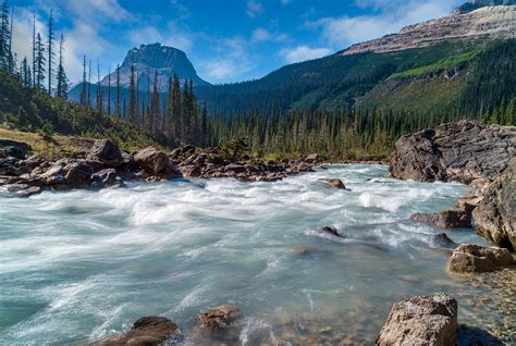 River Trees Mountains - Free photo on Pixabay