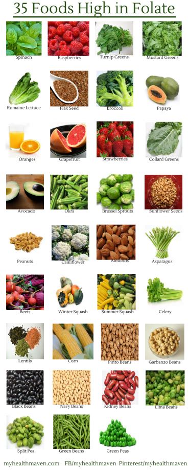 35 Foods High in Folate – My Health Maven