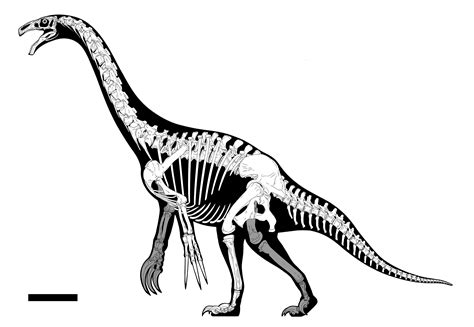 Therizinosaurus based on new skeletal estimates : r/Dinosaurs