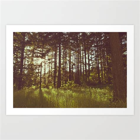 Summer Forest Sunlight - Nature Photography Art Print by Nature Magick ...