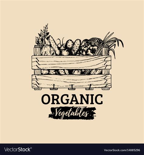 Organic vegetables logo farm eco products Vector Image