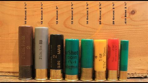 Shotgun Gauges: The Ultimate Guide To 12 Gauge, 16 Gauge, 20 Gauge, 28 ...