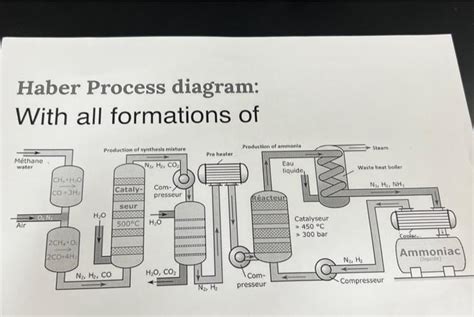 Solved Haber Process diagram: With all formations of | Chegg.com