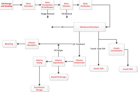 Chlor Alkali Process Flowchart