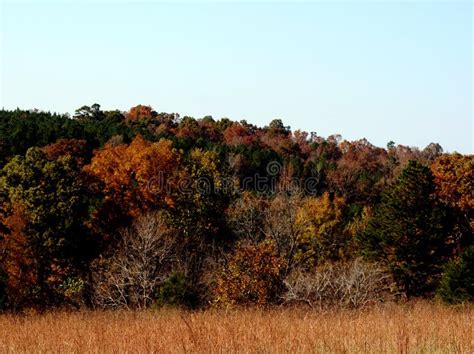 Fall Colors Landscape stock image. Image of landscape - 11820851