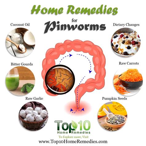 Home Remedies For Pinworms: Effectiveness And Use, 49% OFF