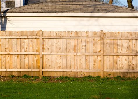 Fenceposts, dead wood, and a load of old rot