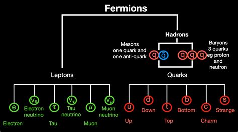 Fermions quarks and leptons -the building blocks of our universe - The Fizzics Organization