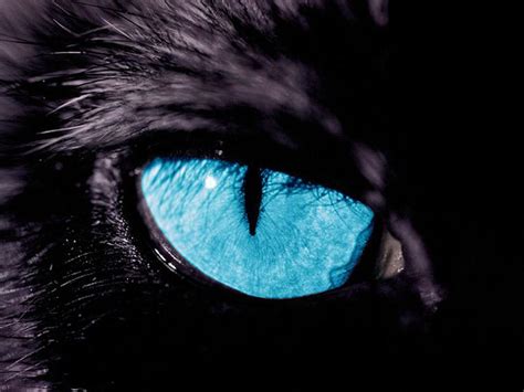 Black Panther Eyes Wallpapers - Top Free Black Panther Eyes Backgrounds ...