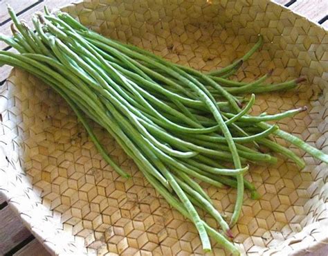 GROW FOOD slow food : Snake Beans - Top Plants