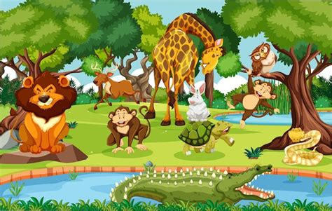 Jungle Cartoon Animals