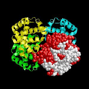 SPPIDER - protein interface recognition